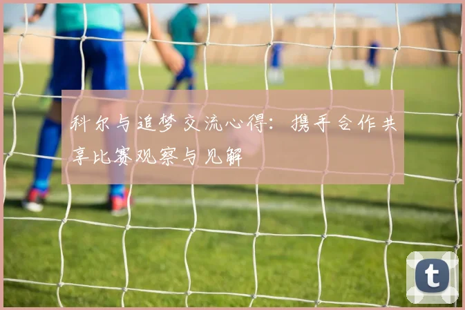 科尔与追梦交流心得：携手合作共享比赛观察与见解